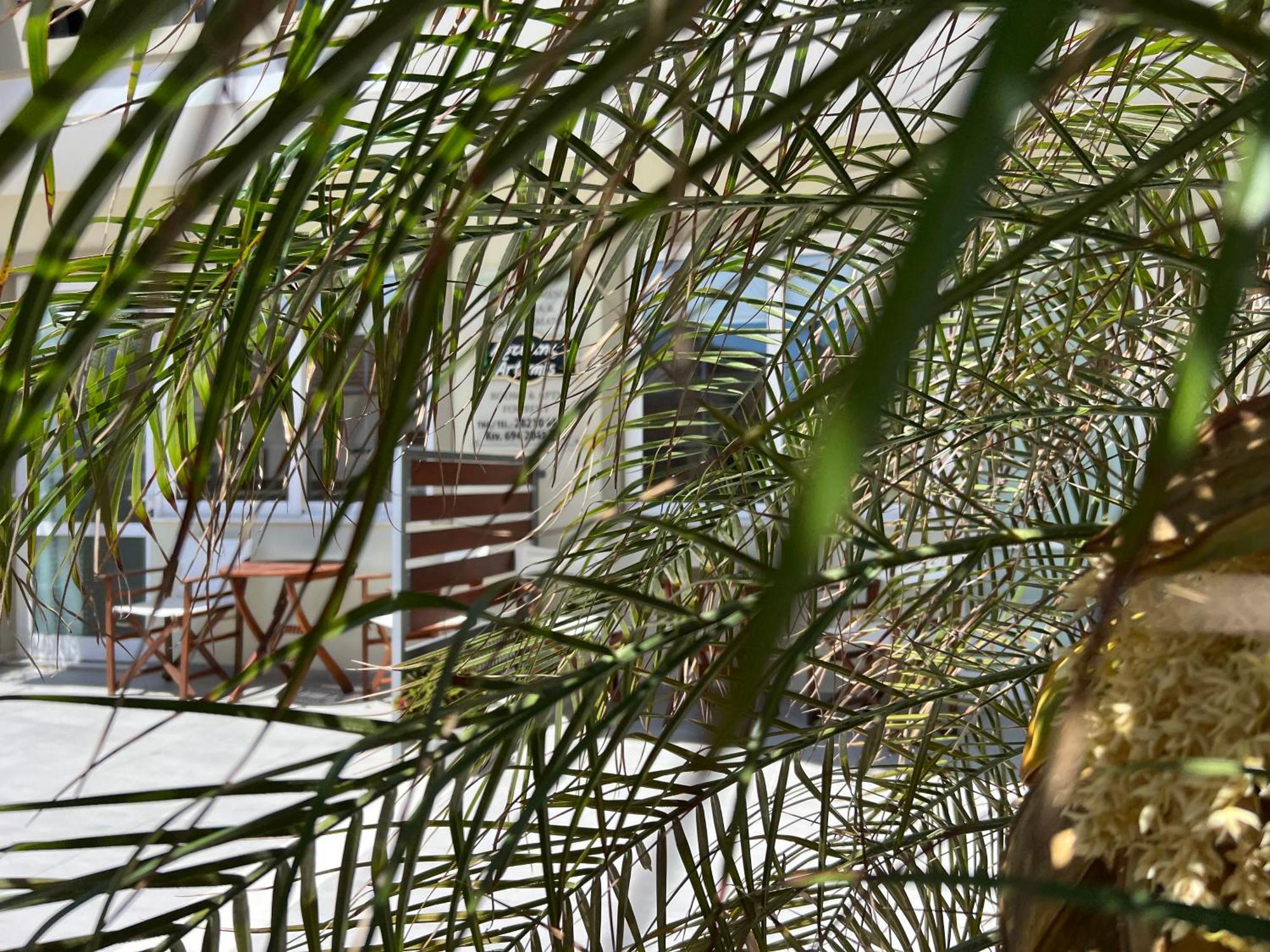 Artemis Rooms Two Steps By The Sea Platanés エクステリア 写真